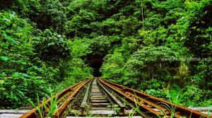 Sakleshpur Green Route Trek