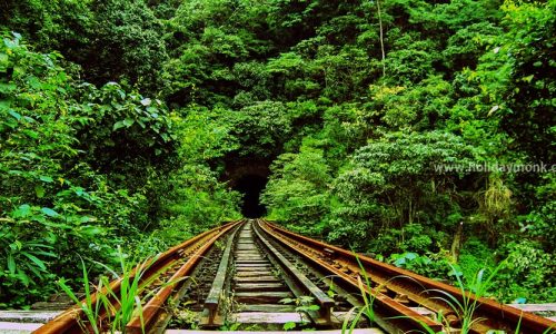 Sakleshpur Green Route Trek