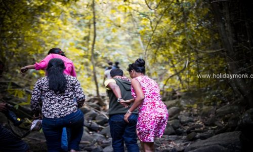 Team Outings with Activities in Sakleshpur