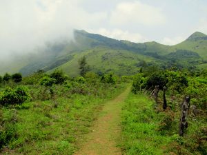 Thadiyandamol South Coorg